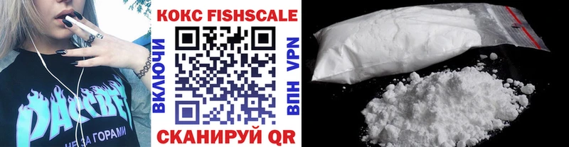 как найти наркотики  Пудож  COCAIN Fish Scale 