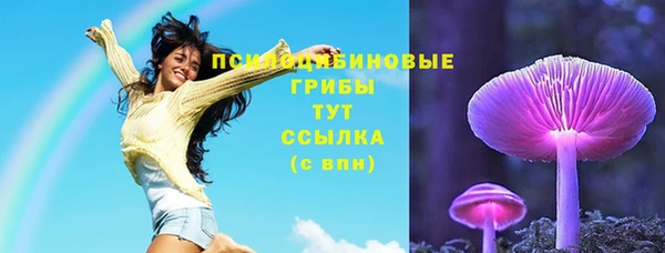 хмурый Армянск