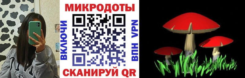 omg как войти  Пудож  Галлюциногенные грибы Cubensis 